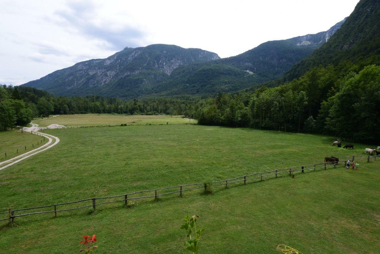 Meznar's Beautiful Nature House Ukanc Apartament *