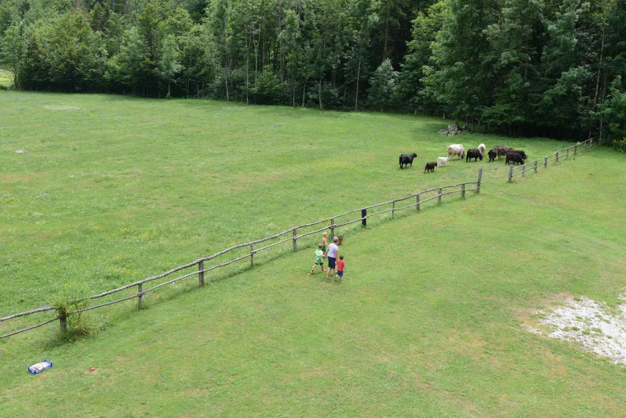 Apartament Meznar's Beautiful Nature House Ukanc Bohinj