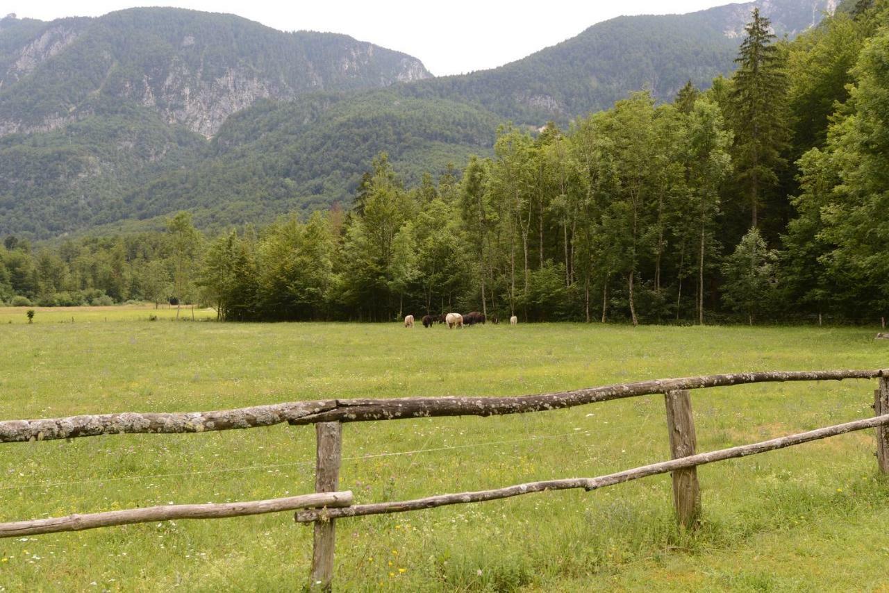 Meznar's Beautiful Nature House Ukanc Apartament Bohinj