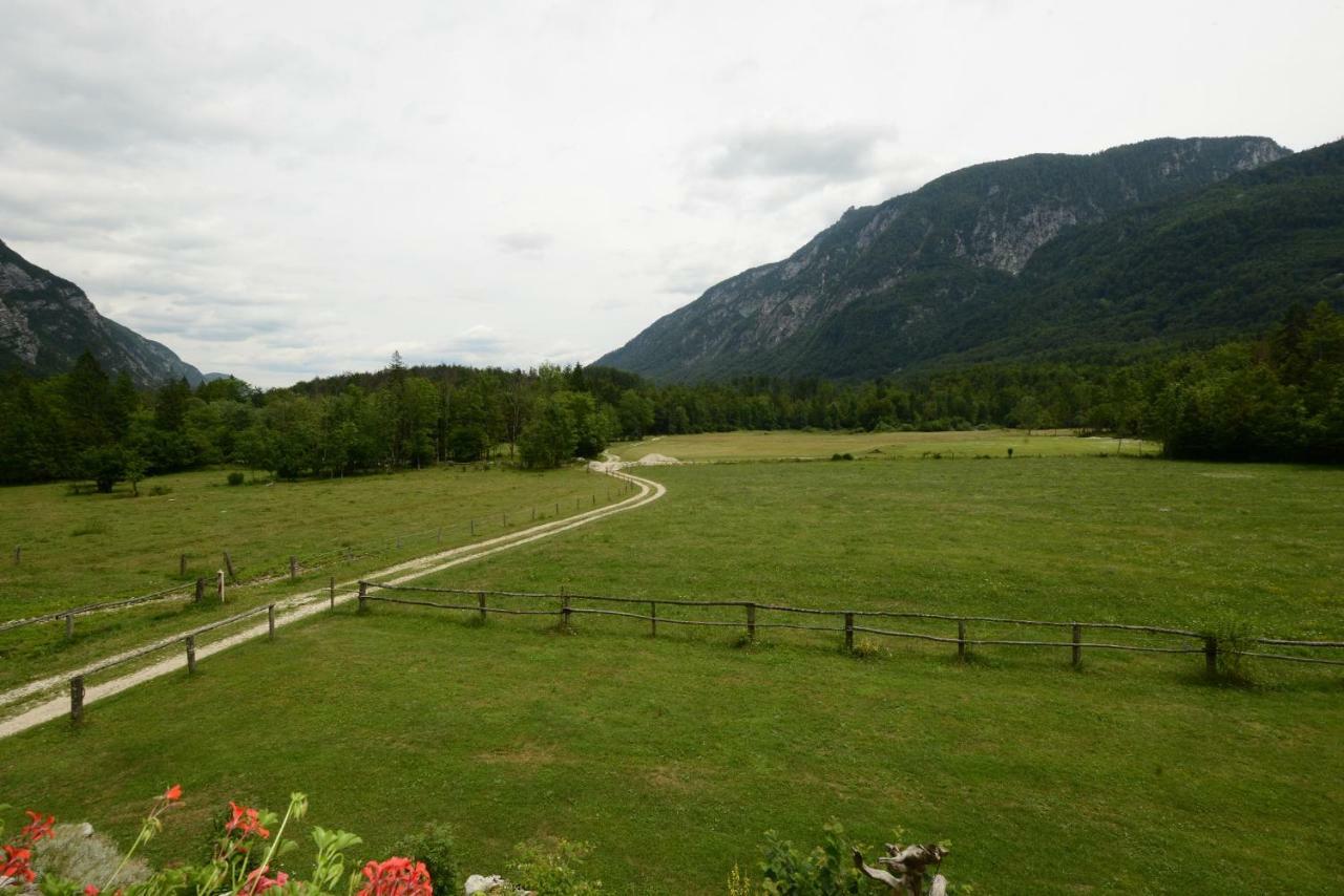 Meznar's Beautiful Nature House Ukanc Apartamento Bohinj